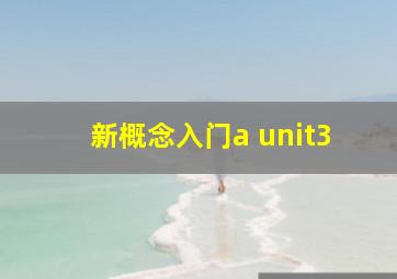 新概念入门a unit3